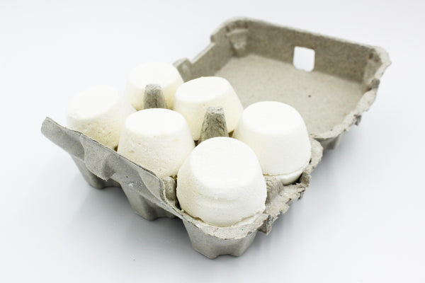 Toilet Bombs 12 pack